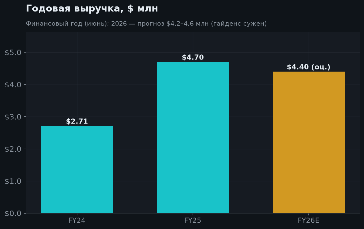 4. Годовая выручка