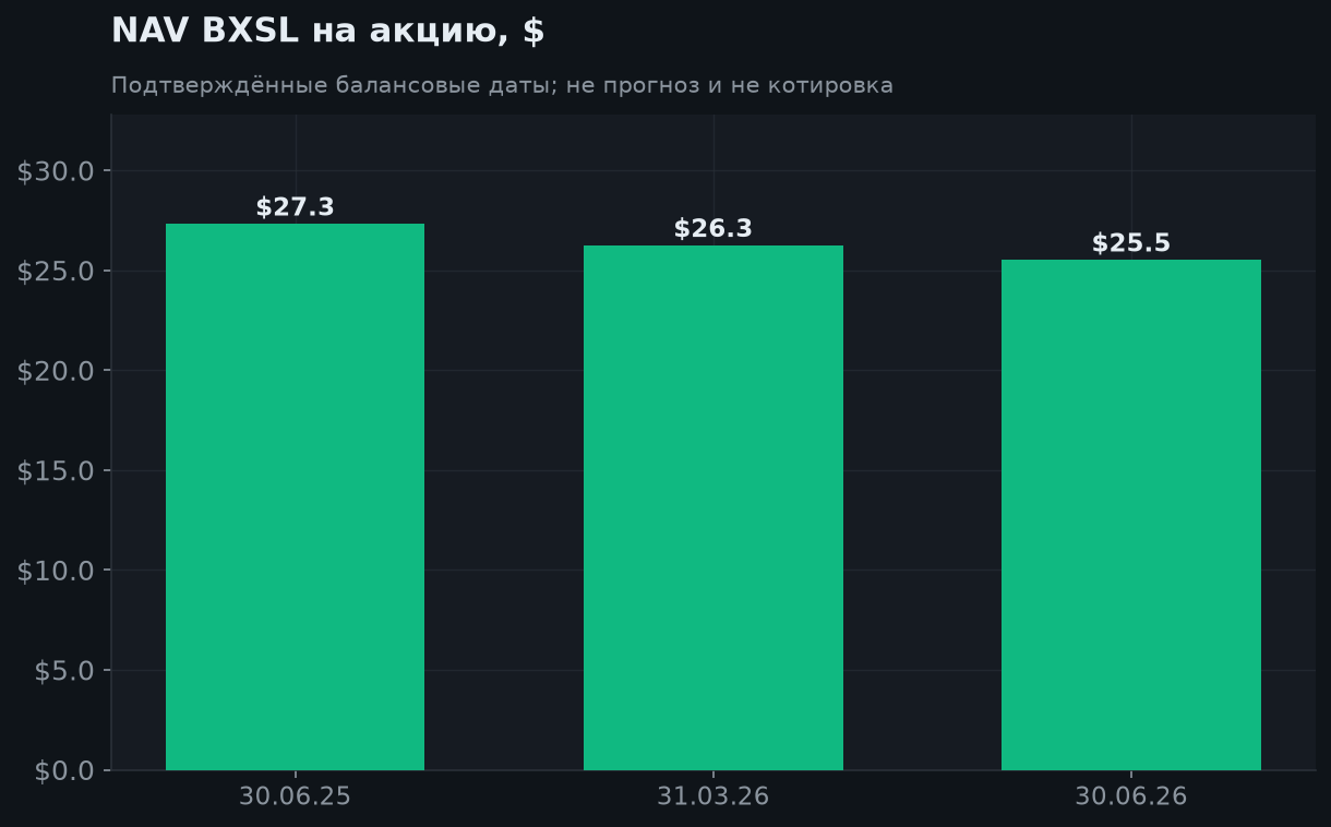 5. NAV, non-accrual и долговое плечо