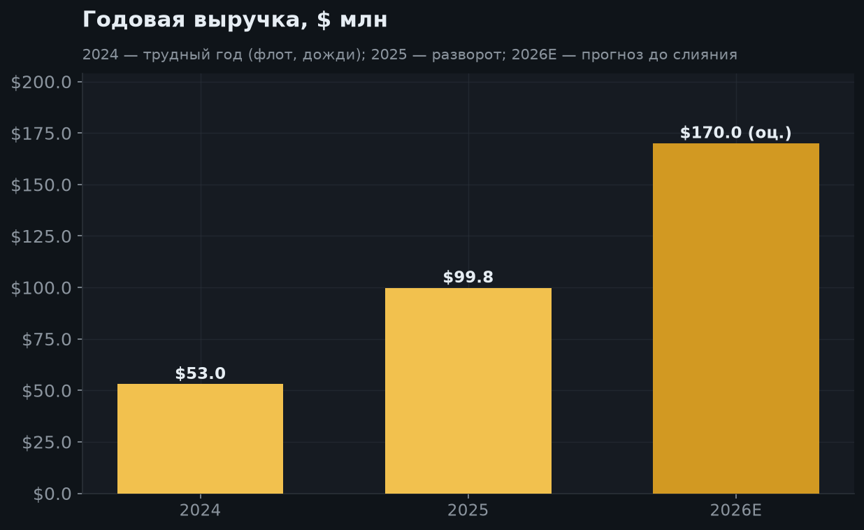 5. Годовая выручка